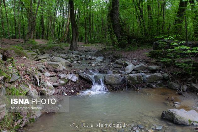 جزییات تنوع و گستردگی ۶ زیست بوم جنگل های ایران